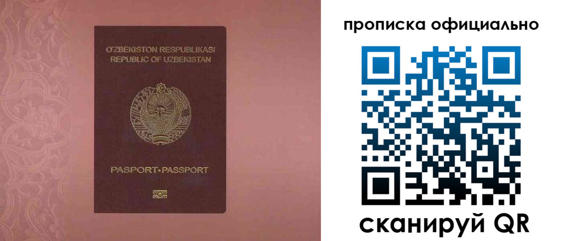 прописка гарантия в Протвино